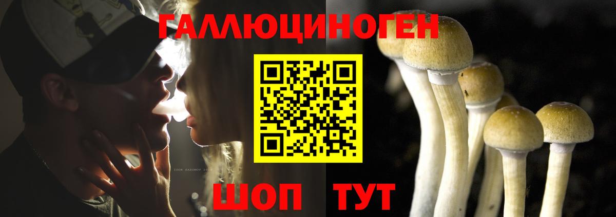 Галлюциногенные грибы Magic Shrooms  Вход с VPN  Псилоцибиновые грибы Cubensis  Ревда 